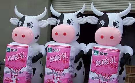 江达牛奶厂广告气模